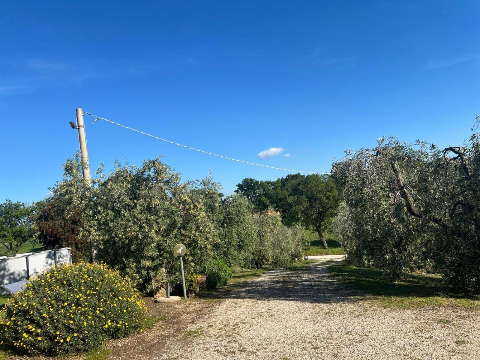 Farm stay La Castellina *